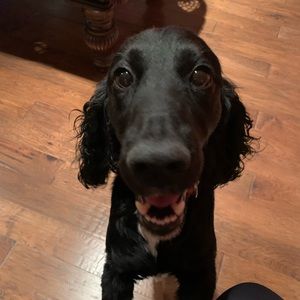 Meet your Posher, Mary